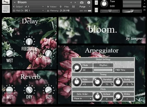 Bloom