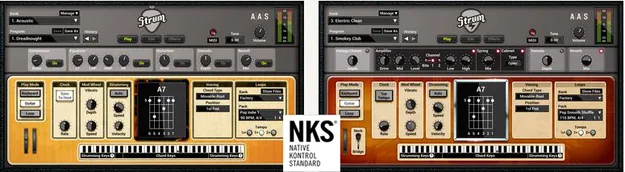 Strum GS-2 guitar plugin interface by Applied Acoustics Systems