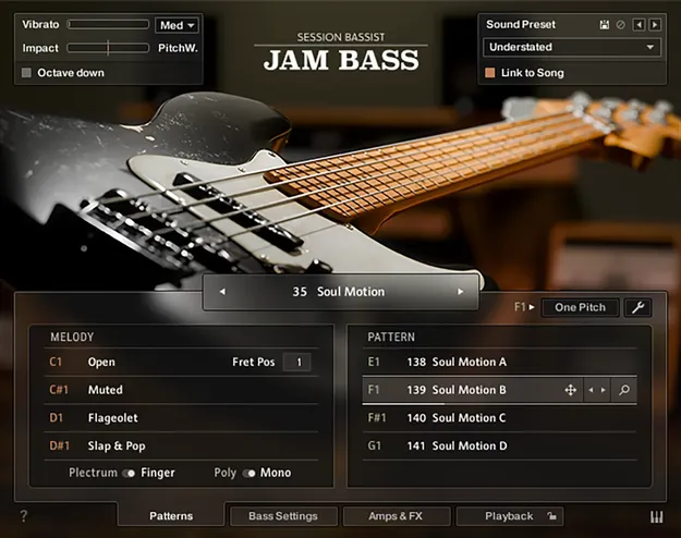 Session Bassist Jam Bass Kontakt bass instrument interface