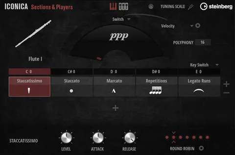 Iconica Sections & Players