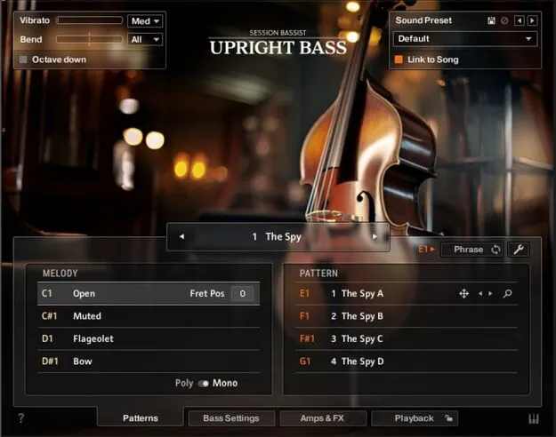 Session Bassist - Upright Bass by Native Instruments Kontakt instrument interface