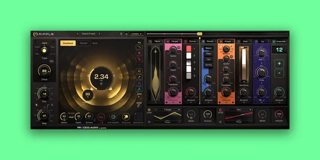Ripple delay plugin by PROCESS.AUDIO interface with sandwave display