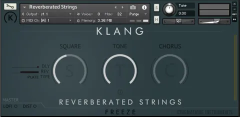 FREEZE: Reverberated Strings