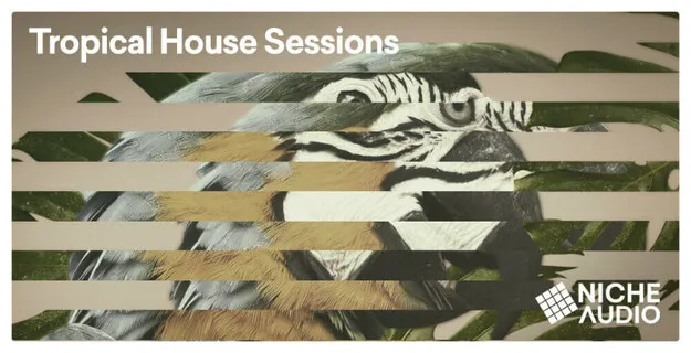 Tropical House Sessions preset pack artwork for Maschine and Ableton Live