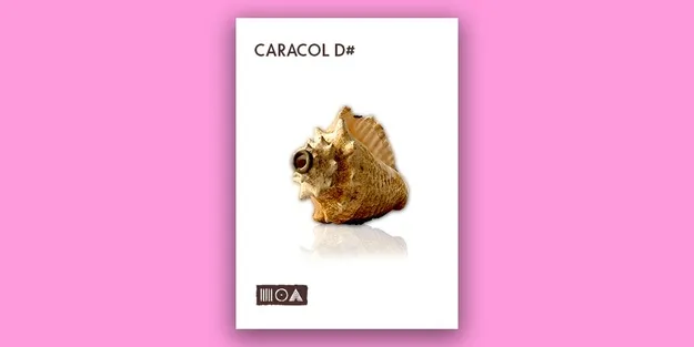 Caracol D# Kontakt instrument by Sounds of the Earth, sampled shell artwork