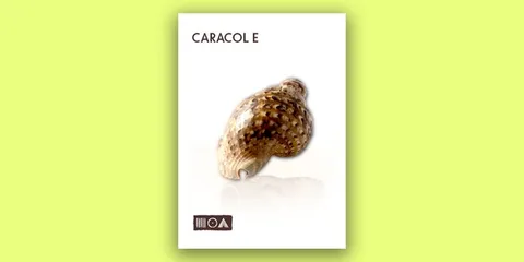 Caracol E