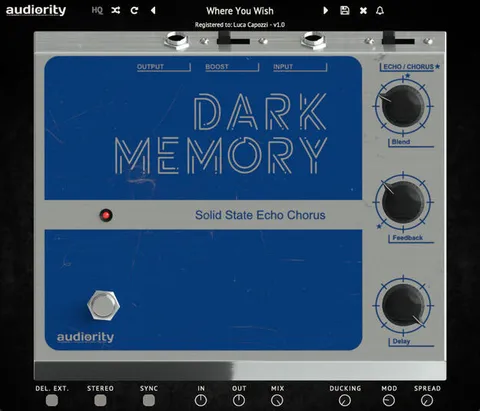 Dark Memory