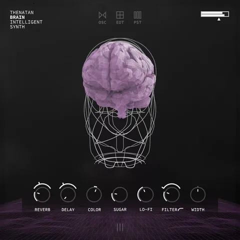Brain