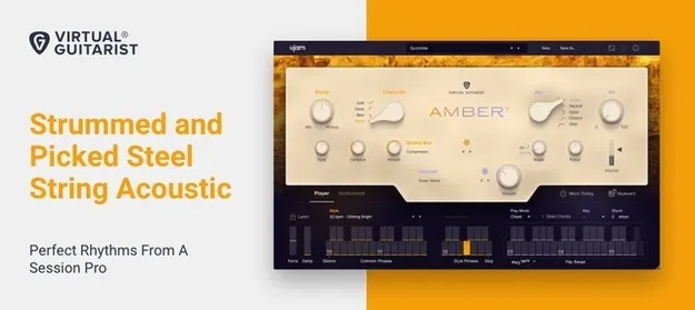 AMBER 2 by UJAM virtual acoustic guitarist plugin interface