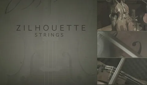 Zilhouette Strings