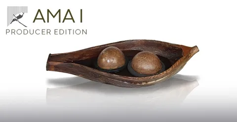 AMA I Producer Edition
