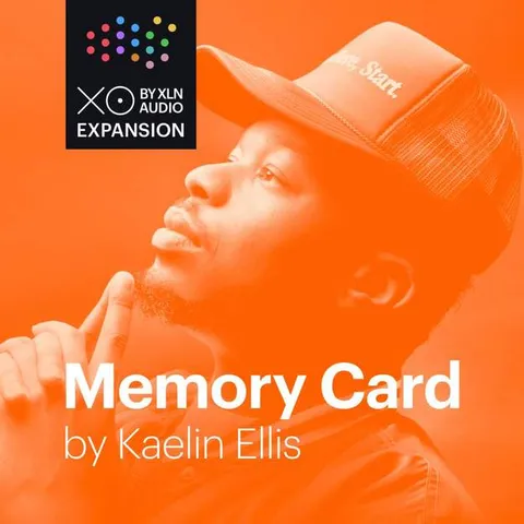 XO Expansion: Memory Card by Kaelin Ellis