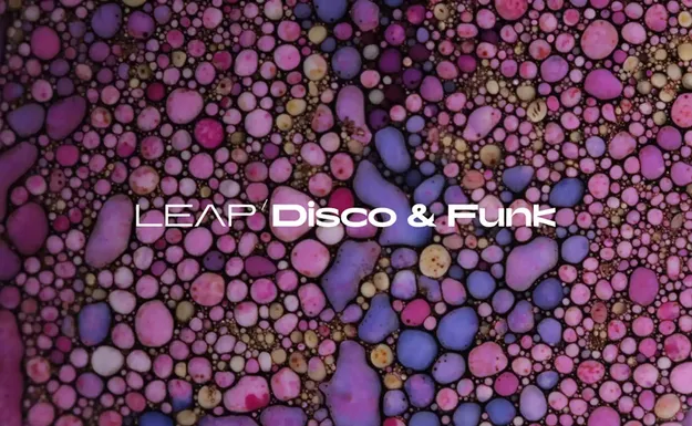 Leap Expansion - Disco and Funk preset pack artwork for Kontakt