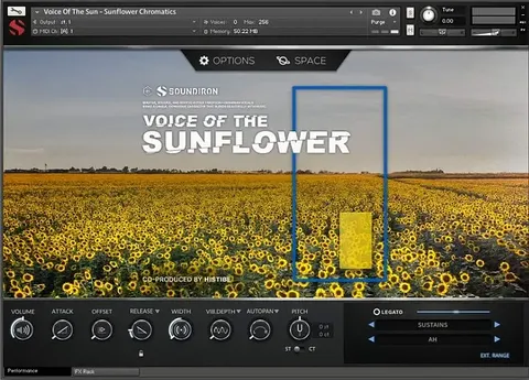 Voice of the Sun - Sunflower