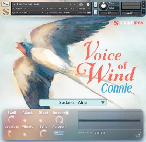 Voice of Wind: Connie