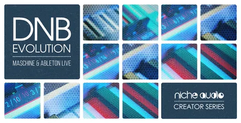 Creator Series: DnB Evolution
