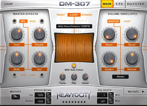 DM-307